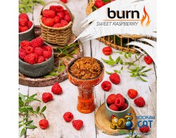 Табак Burn Sweet Raspberry (Малина) 100г Акцизный Табак Burn Sweet Raspberry (Малина) 100г Акцизный